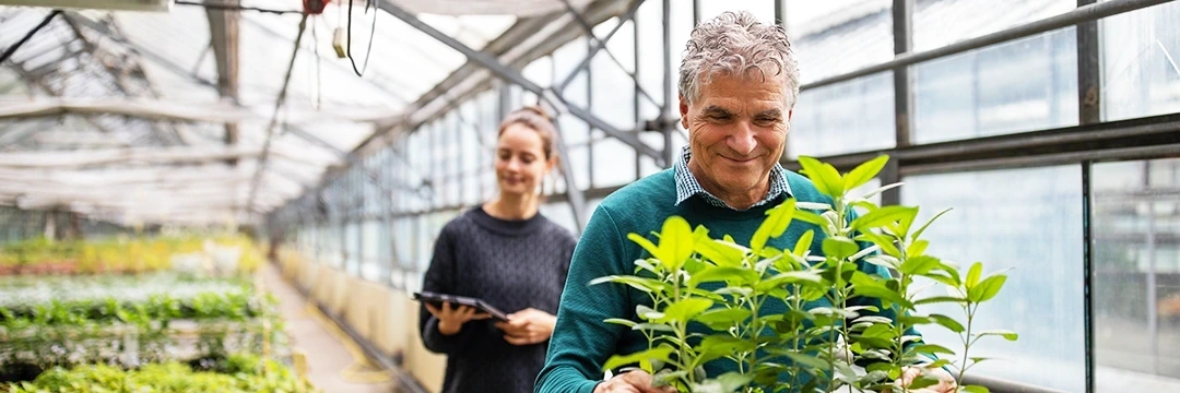 Eine Frau und ein Mann arbeiten in einem Glashaus