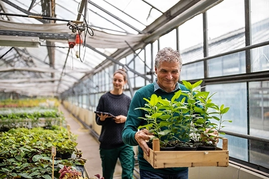 ein Mann und eine Frau arbeiten in einem Gewächshaus