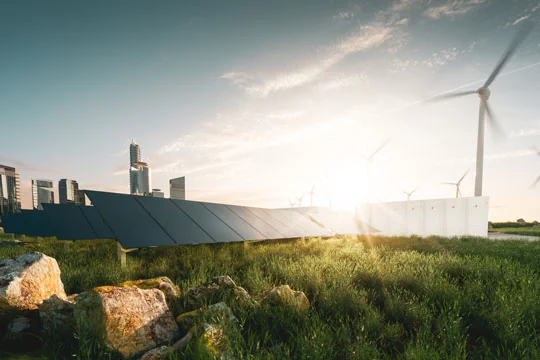 Eine Wiese mit Windrädern im Hintergrund vor der untergehenden Sonne