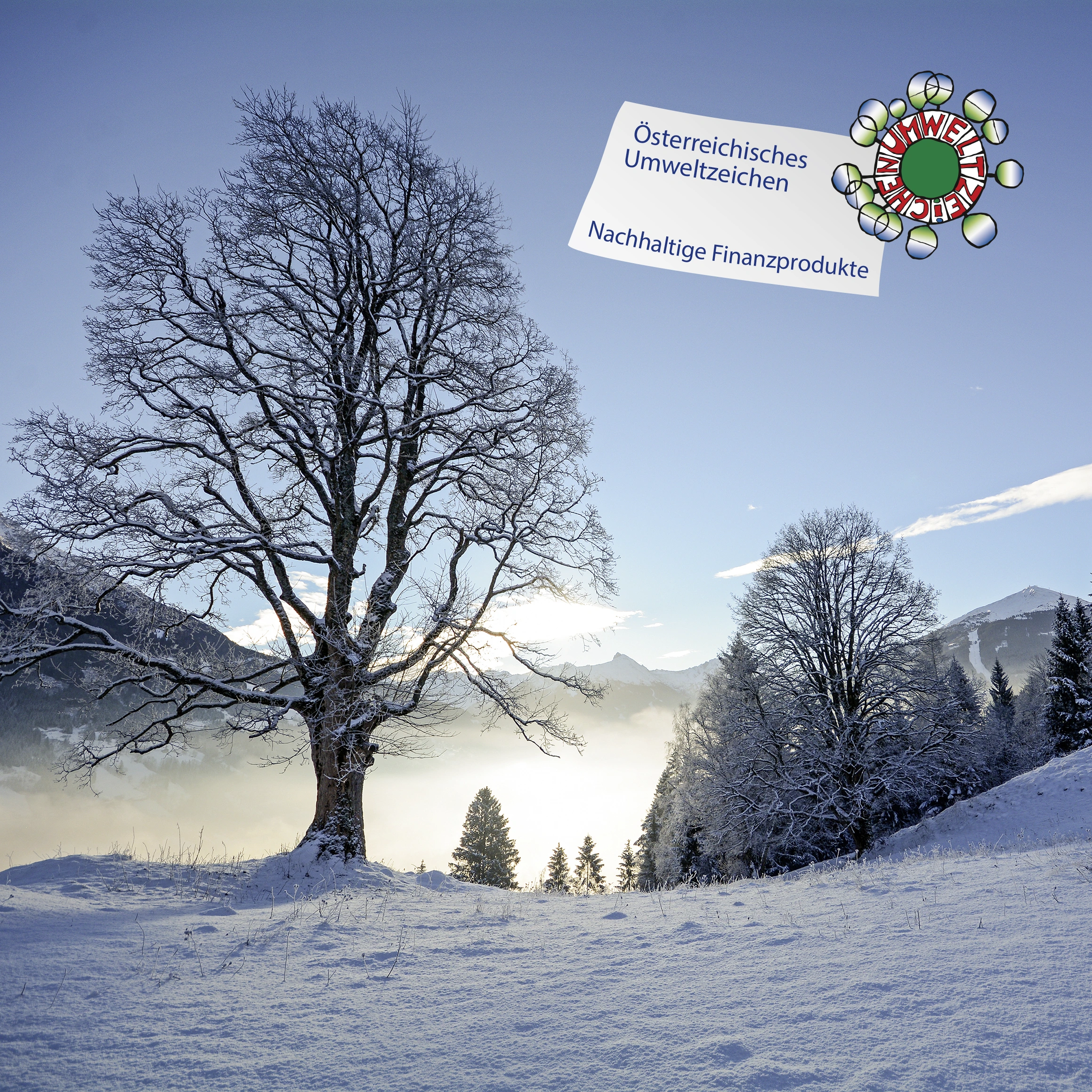 eine Schneelandschaft mit dem Logo des Österreichischen Umweltzeichen