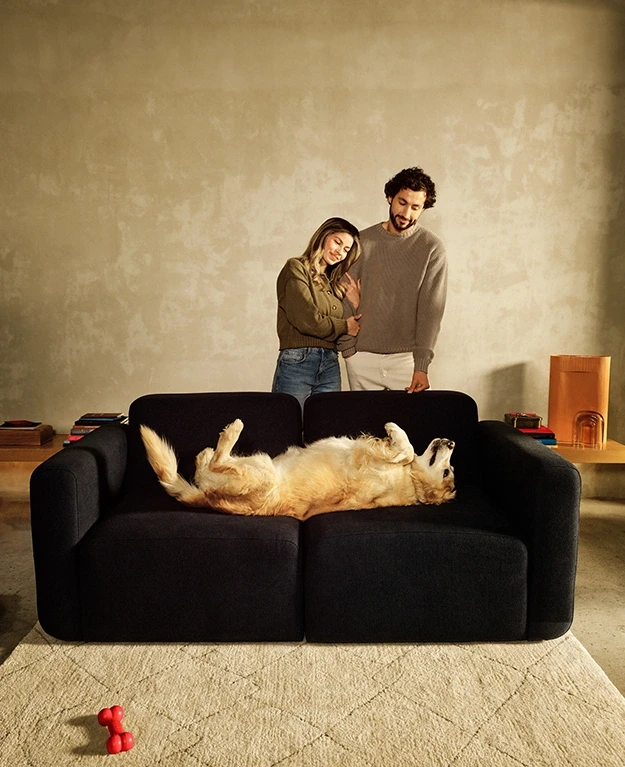 Ein Paar steht vor der Couch, auf der ein Hund ausgestreckt liegt