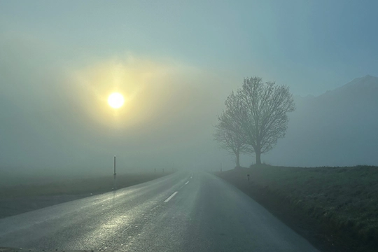 Sonne scheint durch den Nebel