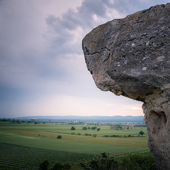 Ein Felsen mit Natur im Hintergrund