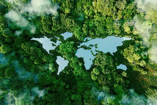 Landschaft von oben mit vielen Bäumen und Wasser