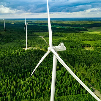 Windräder, die aus bewaldetem Gebiet herausragen