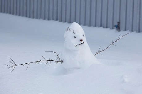 Snowman