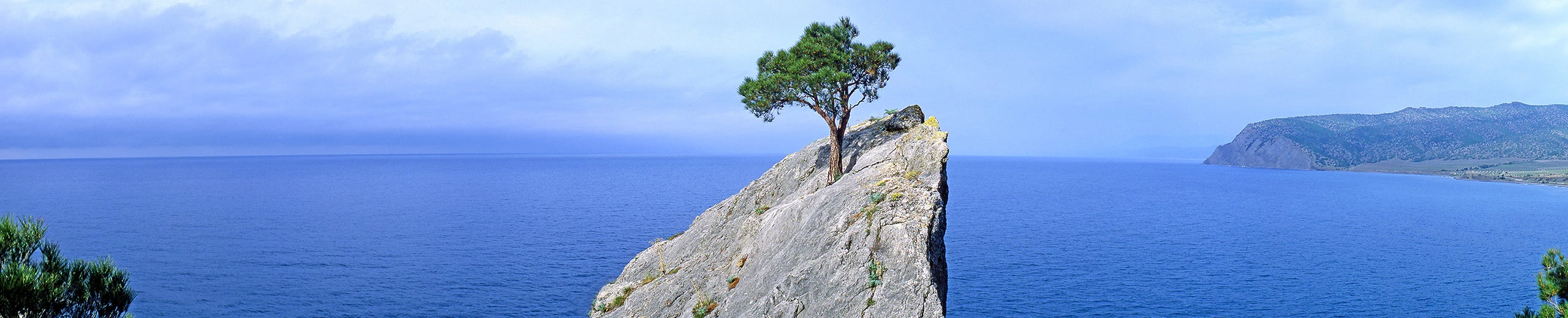 Ein Felsen über dem Meer mit einem Baum darauf