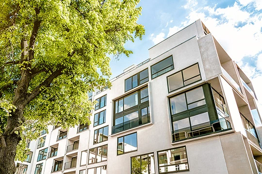 mehrstöckiges Haus mit Baum im Vordergrund