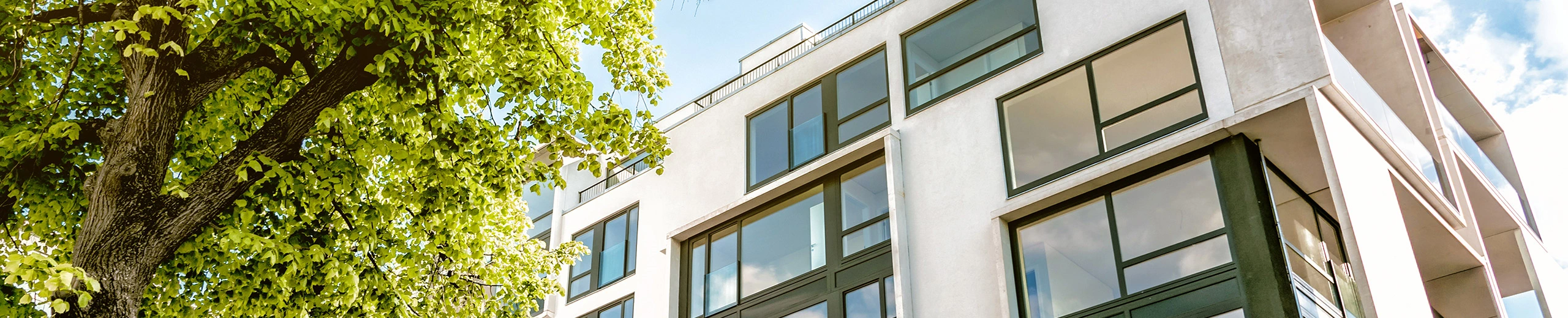 Weißes Mehrfamilienhaus mit Balkonen aus Glas mit einem grünen Baum im Vordergrund