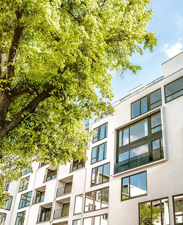 Weißes Mehrfamilienhaus mit Balkonen aus Glas mit einem grünen Baum im Vordergrund