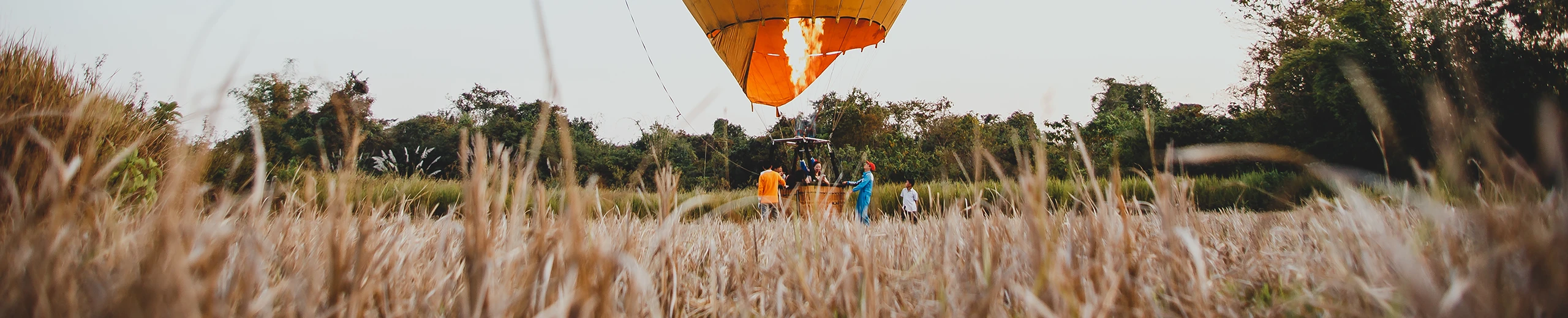 ein abhebender Heißluftballon in einem Feld