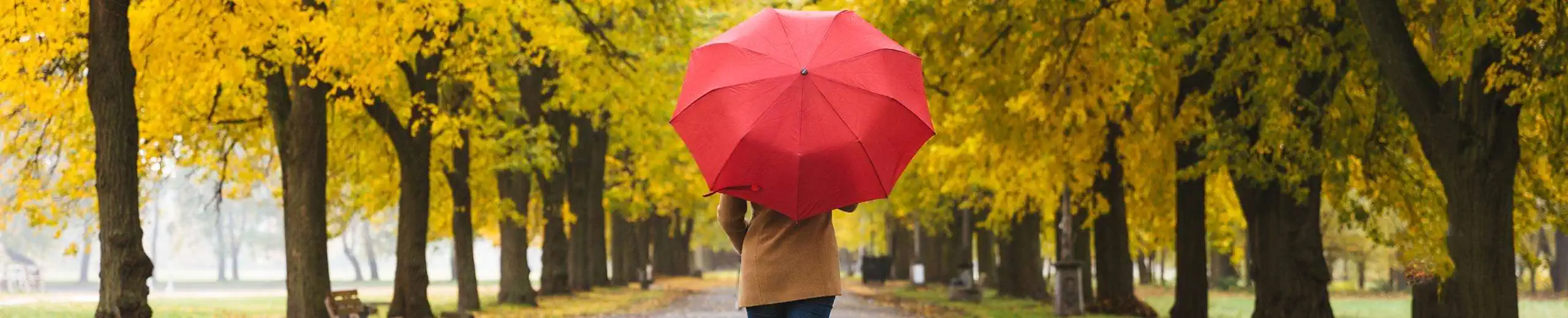 a woman with a red umbrella walking along a tree-lined avenue