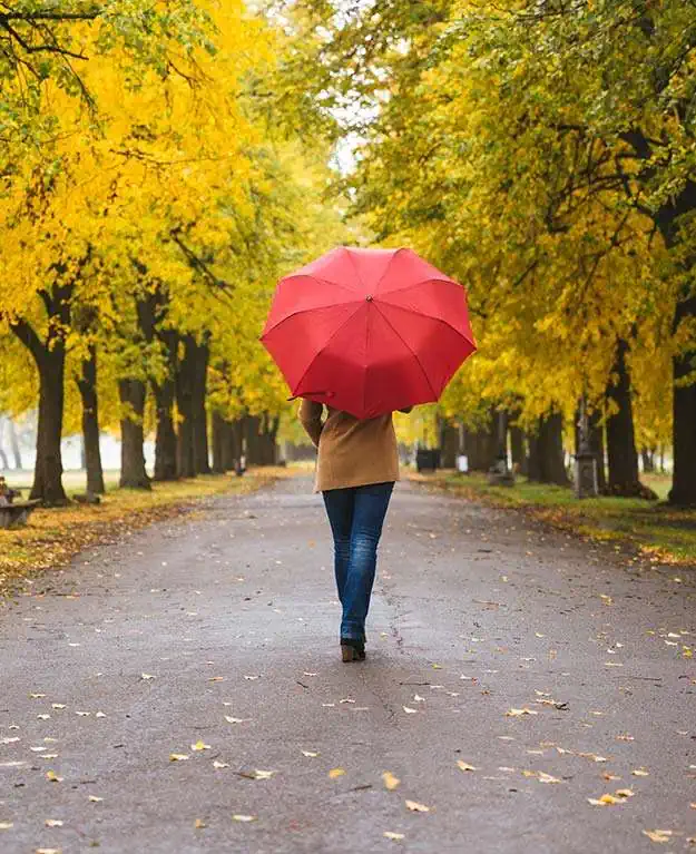 a woman with a red umbrella walking along a tree-lined avenue