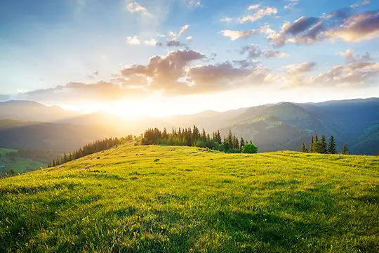 Sonnenuntergang vor Hügel mit Bäumen