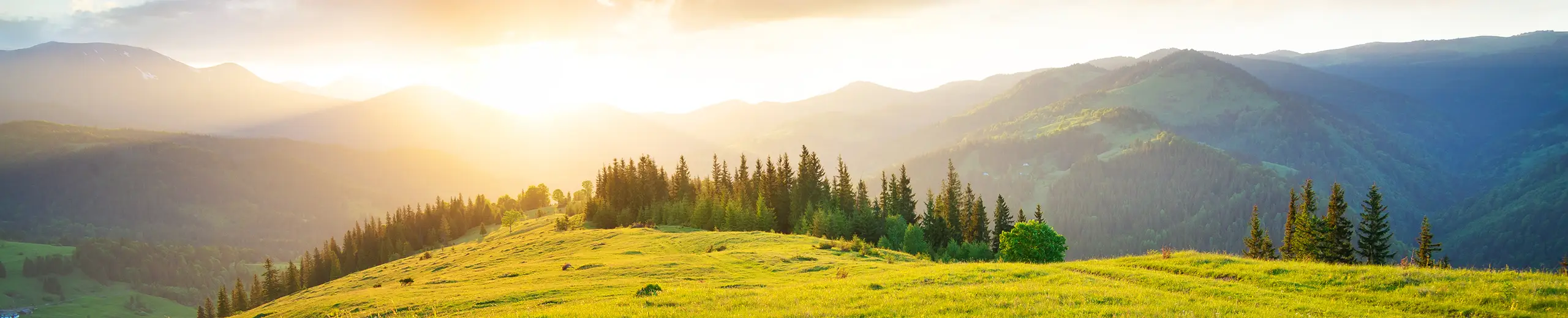 Sunset in front of mountain with trees