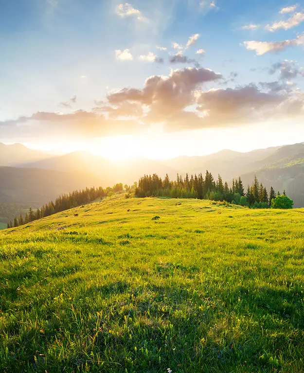 Sunset in front of mountain with trees