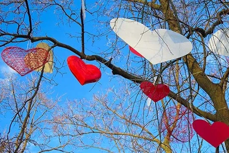 Viele bunte Herzen hängen auf einem Baum