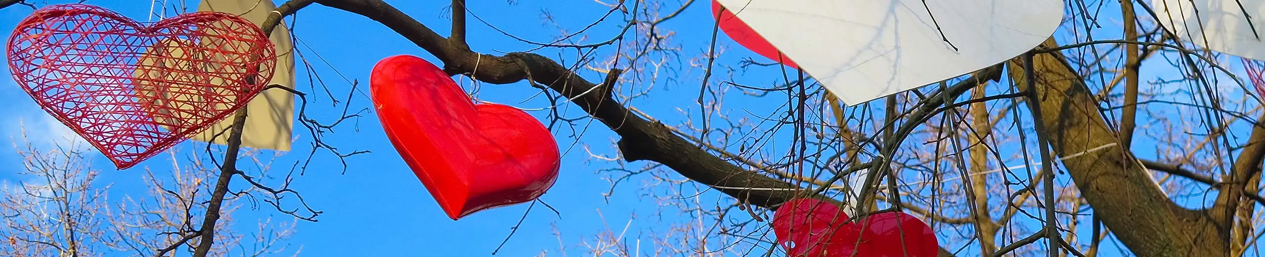 Viele Bunte Herzen auf einem Baum hängend