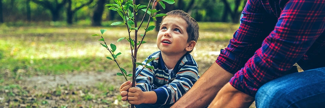 Ein kleiner Bub pflanzt mit seinem Vater einen kleinen Baum