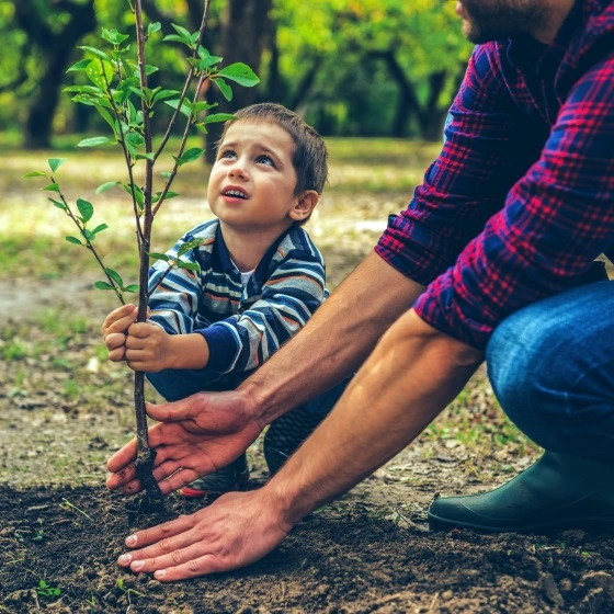 Ein kleiner Bub pflanzt mit seinem Vater einen Baum ein