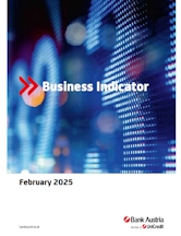 Business Indicator Cover