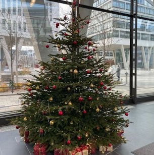 Weihnachtsbaum